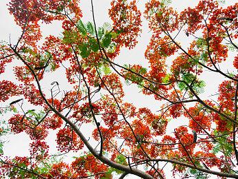 小岛秀夫恐怖新作《OD》预告 令人尖叫的极致恐惧